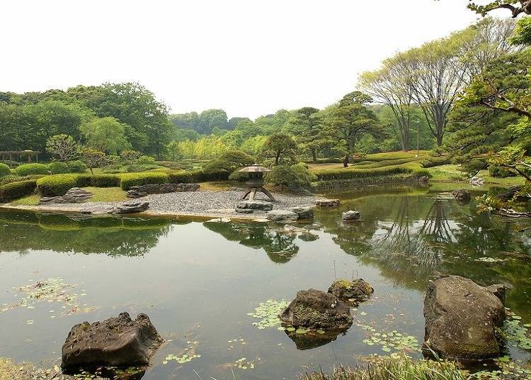 Ninomaru Gardens, where you can enjoy nature to the fullest