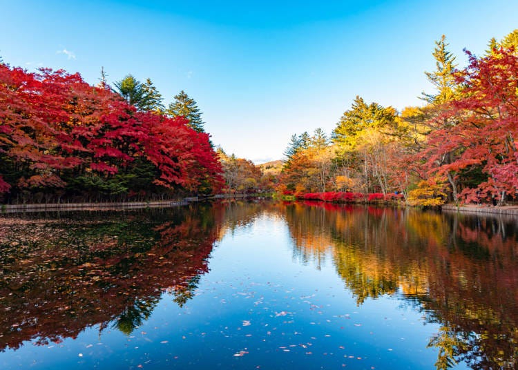 Karuizawa Maple Leaf Spot 1: Kumoba Pond
