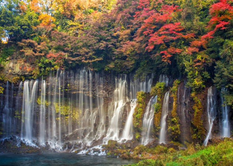 Karuizawa Maple Leaf Spot 2: Shiraito Falls