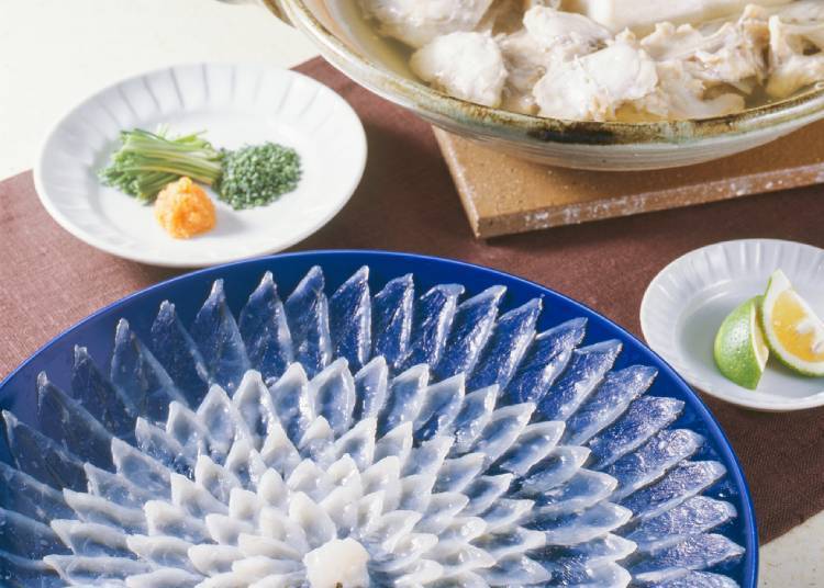 복어가 이렇게 맛있는 줄 몰랐다!