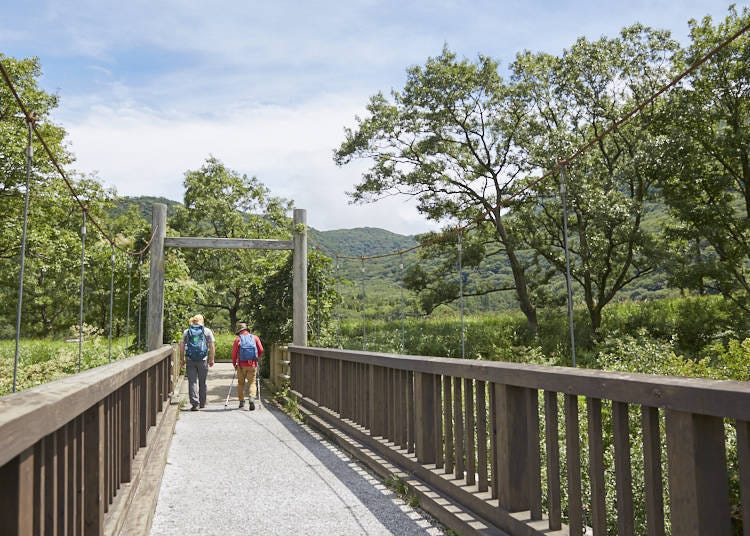 A Trekking Course of Wetlands, Hot Springs, Forests, Rock Climbing, and More!