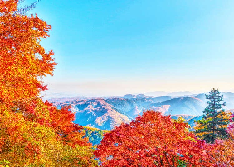 15 lý do nên đưa núi Takao – ngọn núi có nhiều du khách đến thăm nhất thế giới – vào danh sách điểm đến yêu thích của bạn: Sự hấp dẫn lạ kỳ