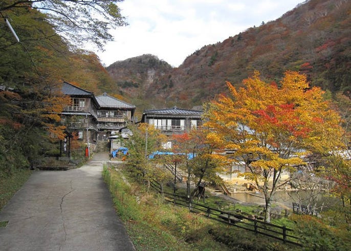 啤酒 葡萄酒也能变温泉 在冰上泡温泉 让人超想亲自走访的日本特殊温泉设施6选 live japan 日本的旅行 旅游 体验向导