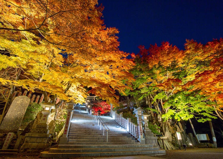 A glimpse of illuminated autumn leaves at Afuri Shrine's undershrine at night (Photo credit: Kunihiko Meguro)