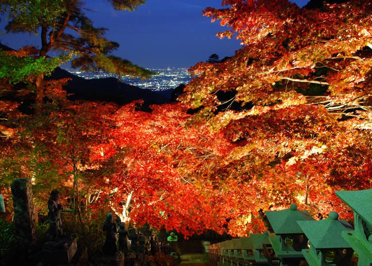 Illuminated autumn leaves at Oyama Shrine