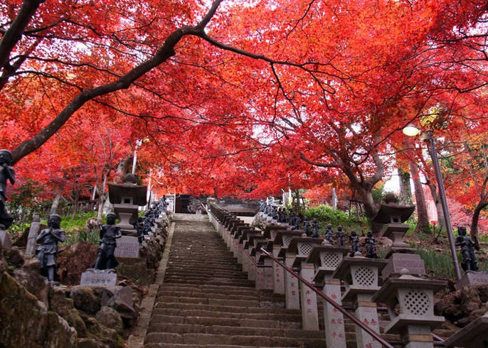 東京出發 大山紅葉 鶴卷溫泉旅館一日遊推薦景點 Live Japan 日本旅遊 文化體驗導覽