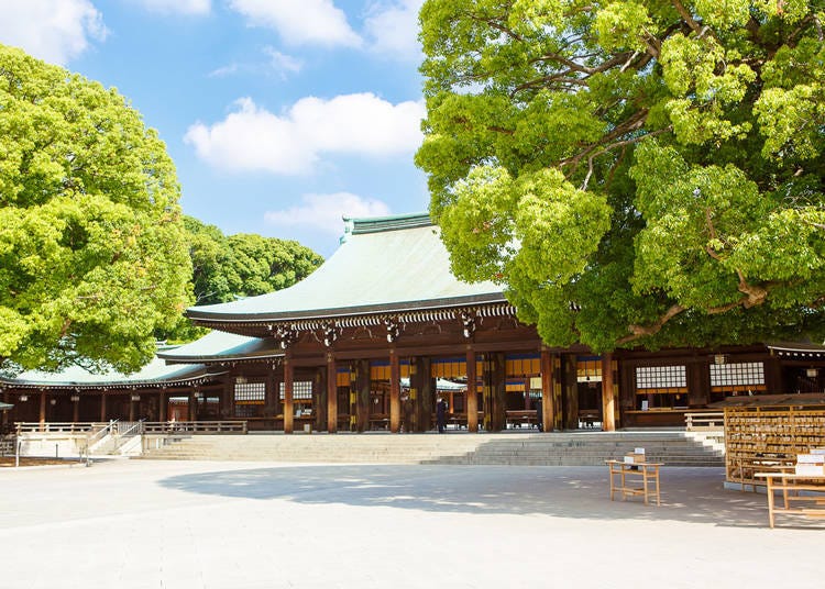 An Urban Oasis! Famous Power-Spot Meiji Jingu Shrine and Nature-Rich Yoyogi Park