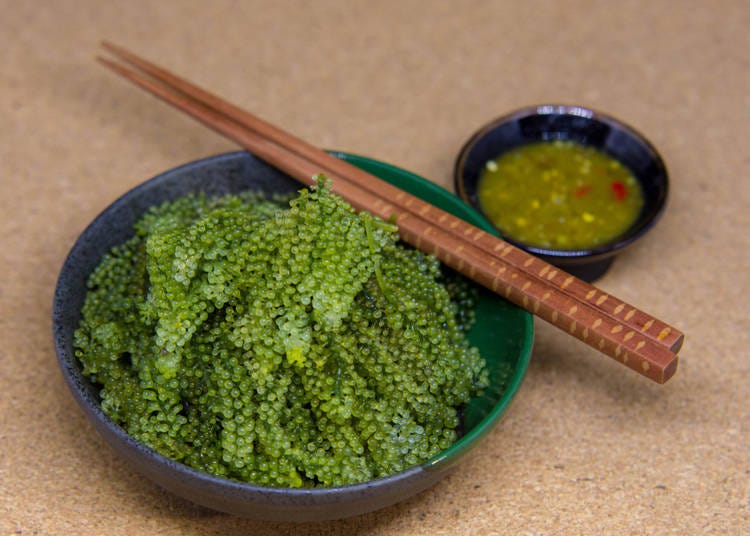 10. Sea Grapes - Umi Budo