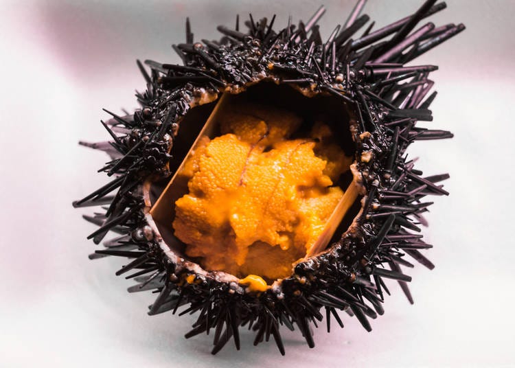 12. Sea Urchin - Uni