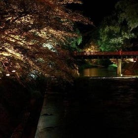 (Gifu) Ghost Stories and Nightlife Tour of Takayama
(Image: Viator)