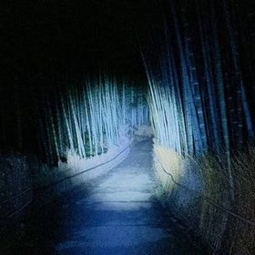 (Kyoto) Ghost Hunting in the Bamboo Forest at night
(Image: Viator)
