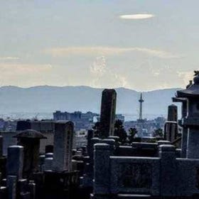 (Kyoto) Dark Kyoto Tour
(Image: Viator)