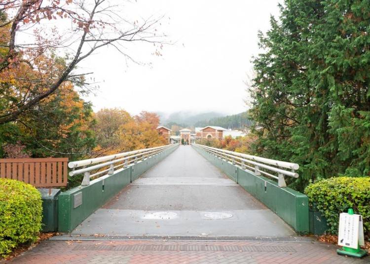 緑の豊かさを感じ取れる橋