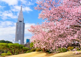 일본 여행의 필수 코스 - 도심 속 오아시스, 신주쿠교엔! 가는 방법도 소개