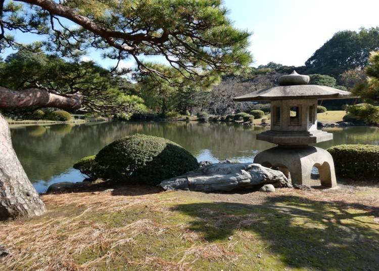 Elegant Japanese garden