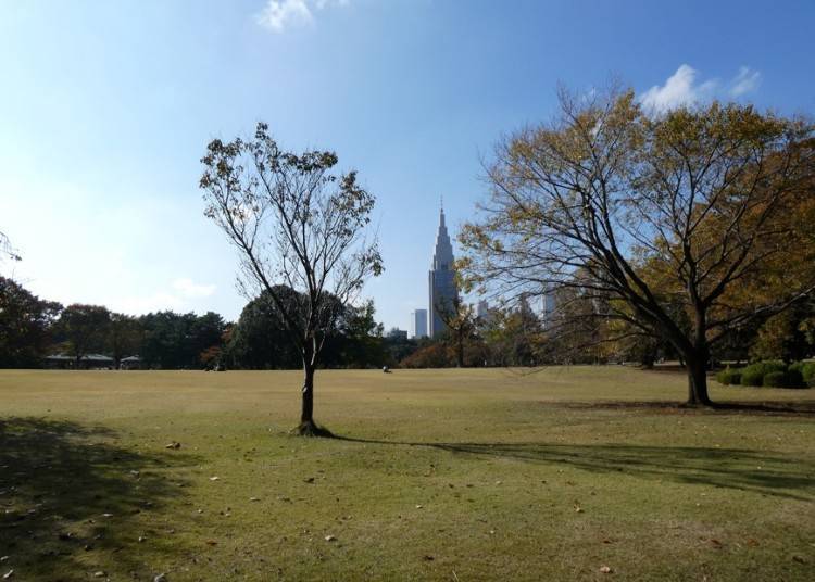 The NTT Docomo Yoyogi Building can be seen from between the trees
