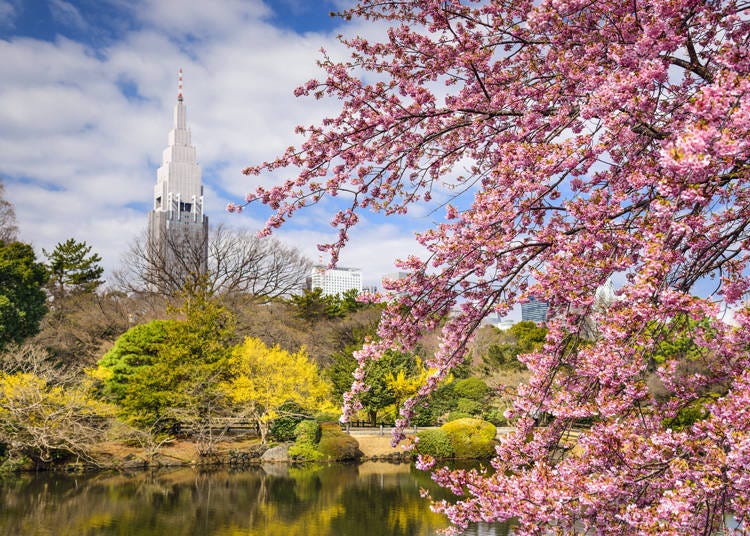 Shinjuku Sanchome Area: Shinjuku Gyoen and Hanazono Shrine; close to major department stores