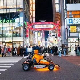 Japan Kart Shinjuku
(Image/Tickets: Klook)