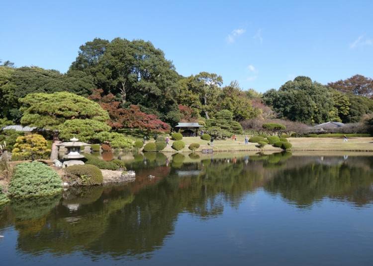 情緒溢れる日本庭園