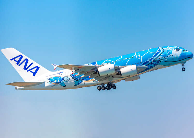 ANA to offer Japan domestic air pass with multiple flights and unlimited accommodations provided