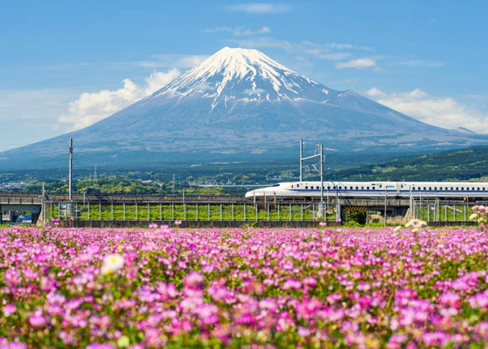 外国人が体験したがる意外な日本のこと11選 え それがやりたかったの Live Japan 日本の旅行 観光 体験ガイド