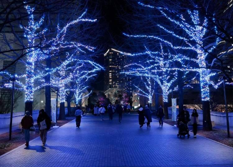 Christmas Colors: 5 Popular Winter Yokohama Illumination in the