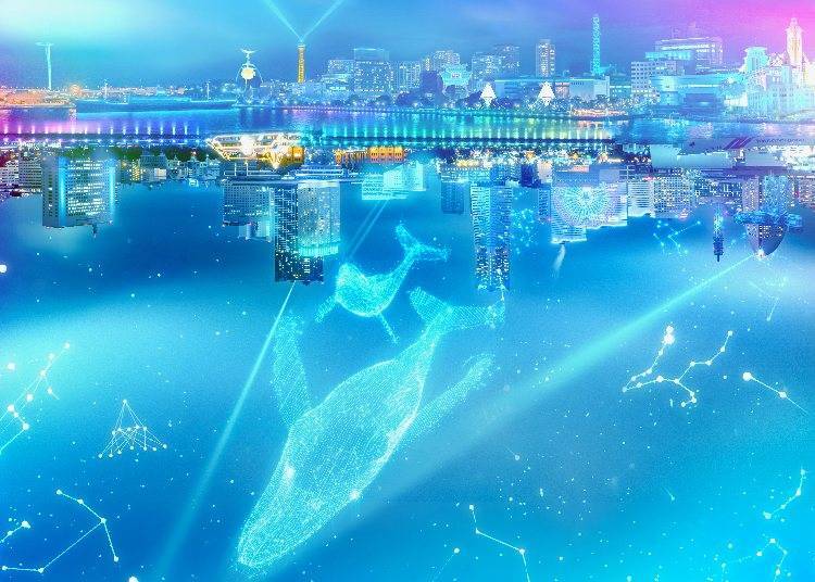 ４．「橫濱夜晚出現的燈光 Yorunoyo2024-25」隨著燈光與音樂躍動