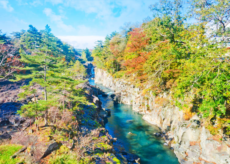 台灣人都愛去這裡？從台灣住宿客排行榜，看最受歡迎的日本旅遊地點！