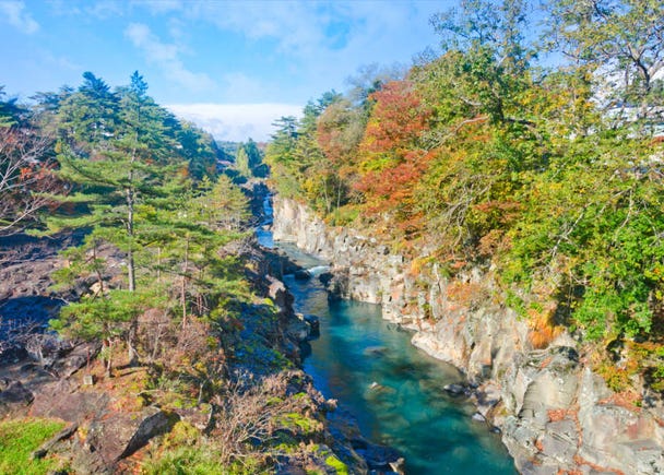 第1名:岩手縣
