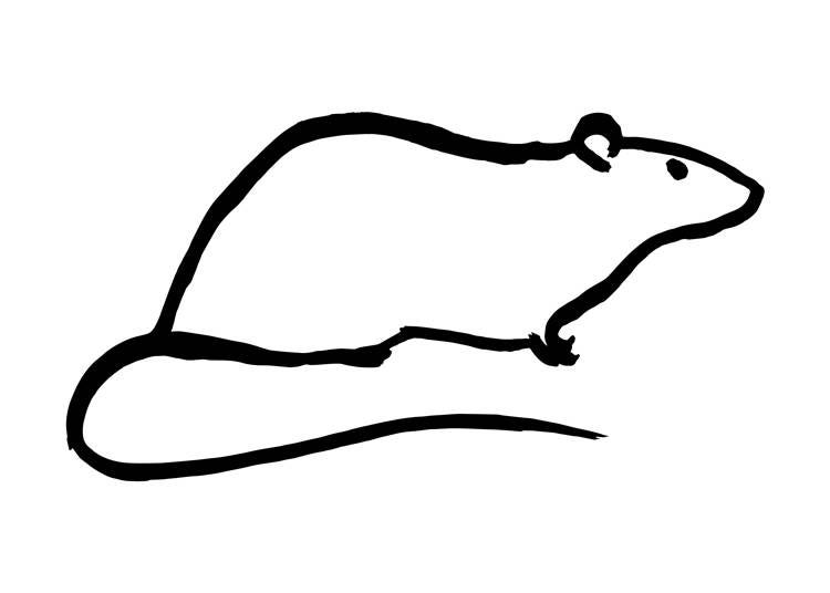 もともとは動物を示してはいなかった?