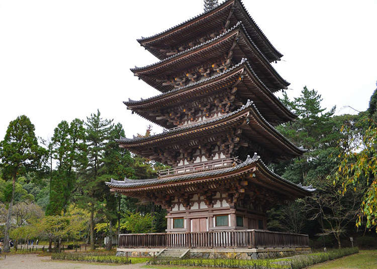 Eastern Kyoto’s Treasure Trove of Living Traditions