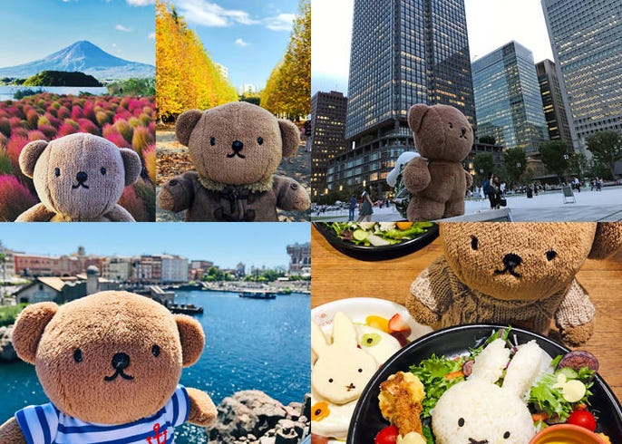 ぬい撮り テーマに約500人が集結 推し 活を応援する神イベント 推し活フェス 第1回リポート Live Japan 日本の旅行 観光 体験ガイド