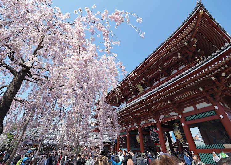 春之台東區，坐擁上野、淺草等地的超人氣中心
踏訪少有人知的私房景點，打造完美的一日遊行程！