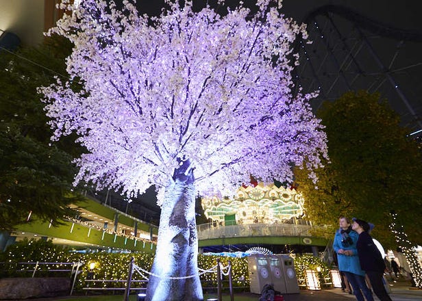 在璀璨奪目的東京燈飾中度過冬夜—「東京巨蛋城冬季燈光秀」