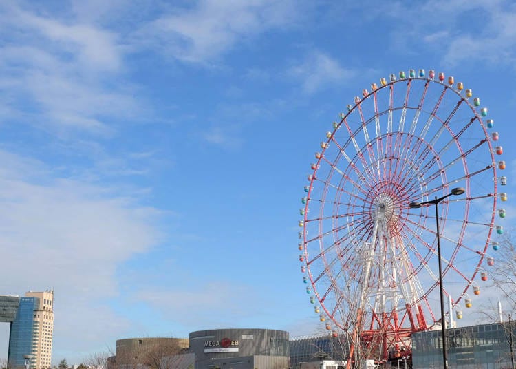 Giant Ferris Wheel: Bird’s-eye view of Tokyo!