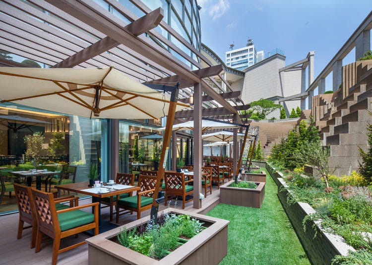 GARDEN DINING