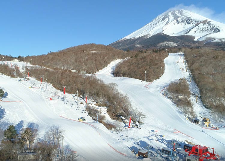 2. Snow Resort Yeti (Shizuoka)