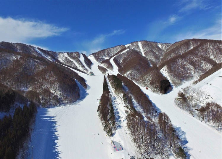 3. White World Oze Iwakura (Gunma)