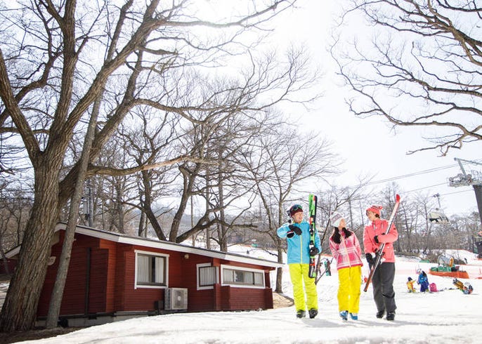 東京近くでスキーを楽しむなら 軽井沢プリンスホテルスキー場などおすすめ3選 Live Japan 日本の旅行 観光 体験ガイド