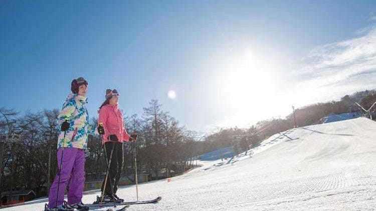 Karuizawa Prince Hotel Ski Resort Guide: Lift + Hotel Bargains, Courses, Access & More (2023-2024)