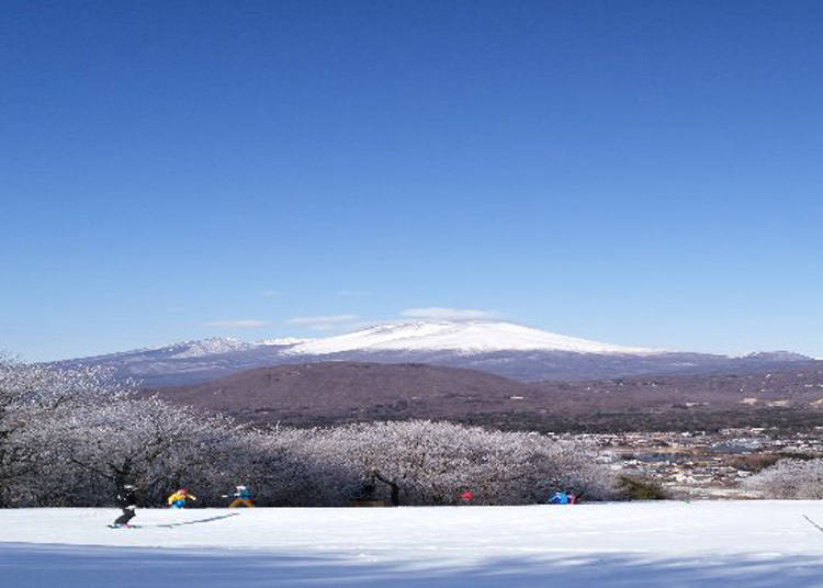 到「轻井泽王子大饭店滑雪场」滑雪啰！