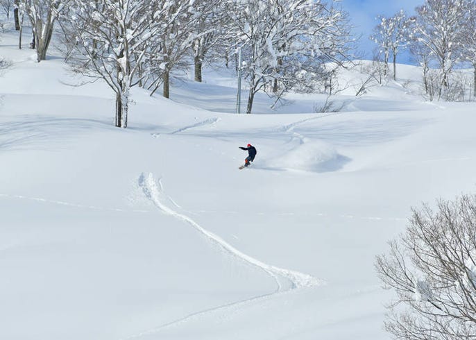 live japan