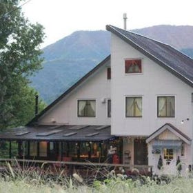 Bears House