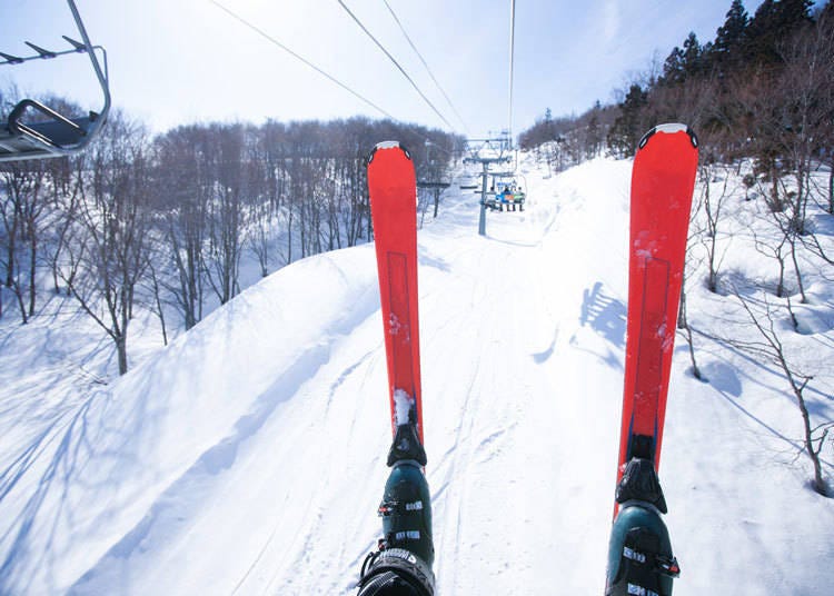 일본에서 스키를 즐기려면 보험에 가입하는 것이 좋아!