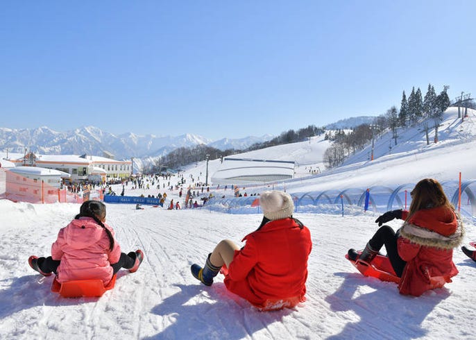 不会滑雪但又想玩雪怎么办 不滑雪也能尽情享受雪上活动乐趣的魅力雪场3选 Live Japan 日本的旅行 旅游 体验向导