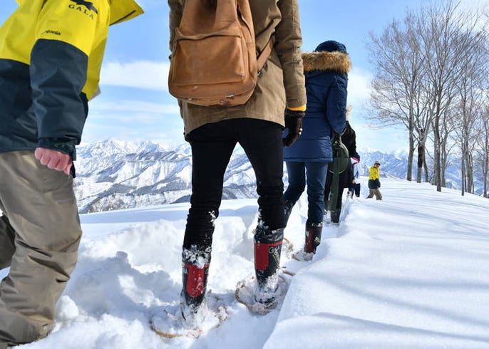 不会滑雪但又想玩雪怎么办 不滑雪也能尽情享受雪上活动乐趣的魅力雪场3选 Live Japan 日本的旅行 旅游 体验向导