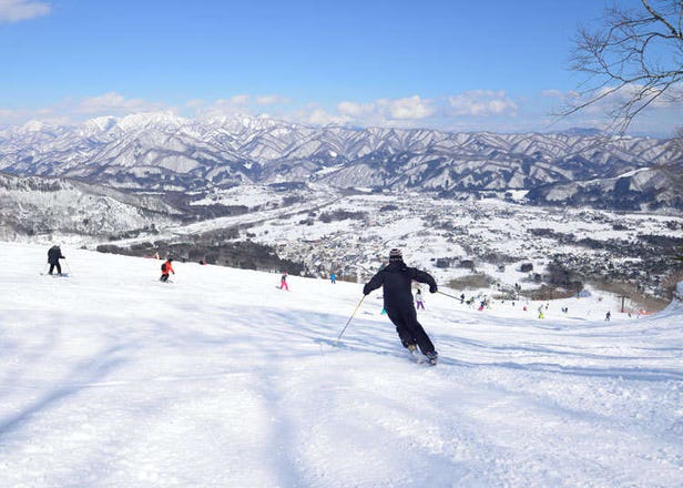 하쿠바 지역의 추천 스키장, ‘하쿠바 코르치나’의 매력 철저 분석!
