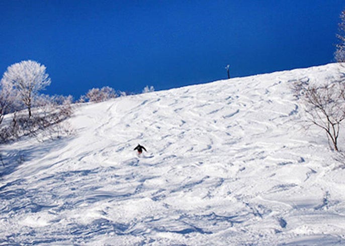 白马地区最推荐的滑雪场 白马cortina 的魅力大解析 live japan 日本的旅行 旅游 体验向导