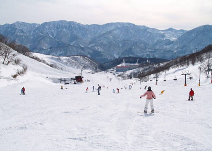 白馬cortina攻略 推薦滑雪道 住宿 溫泉等各種活動 live japan 日本旅遊 文化體驗導覽