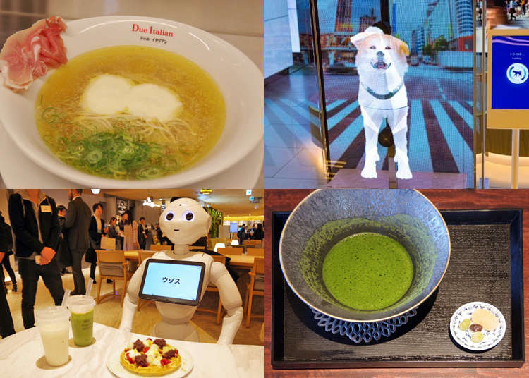 東急プラザ渋谷の注目店10選！まず行くべきショップ＆レストランはここ